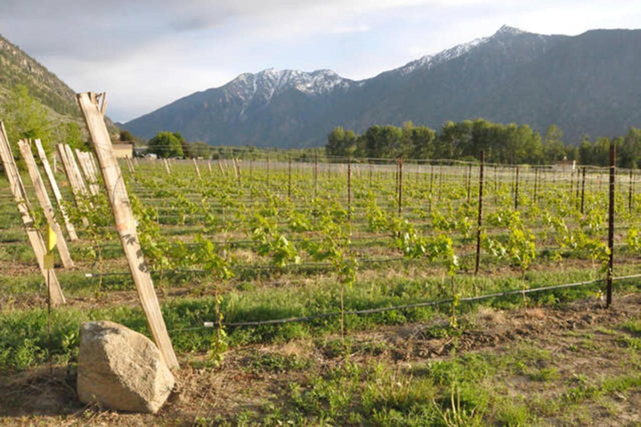 Similkameen Wild Resort & Winery Retreat Osoyoos Esterno foto